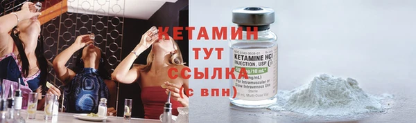 ПСИЛОЦИБИНОВЫЕ ГРИБЫ Осинники