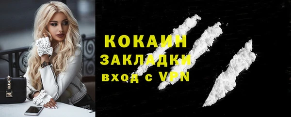 ПСИЛОЦИБИНОВЫЕ ГРИБЫ Осинники