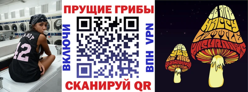где найти гидра ССЫЛКА Псилоцибиновые грибы Cubensis Болхов